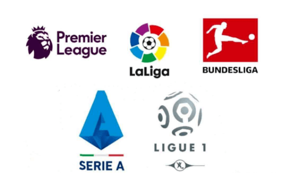 场影响力自 场影响力自