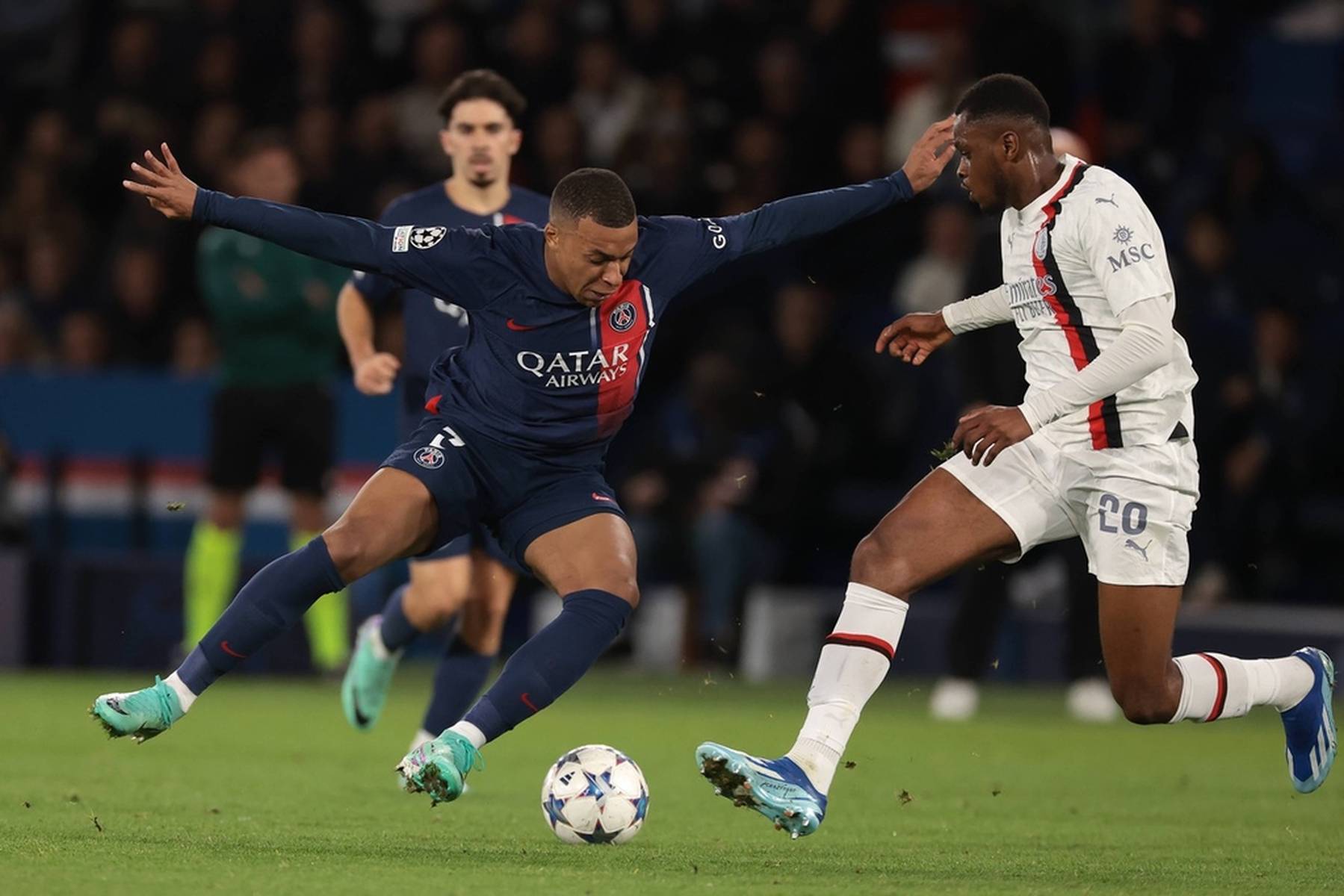 种公开表达 种公开表达