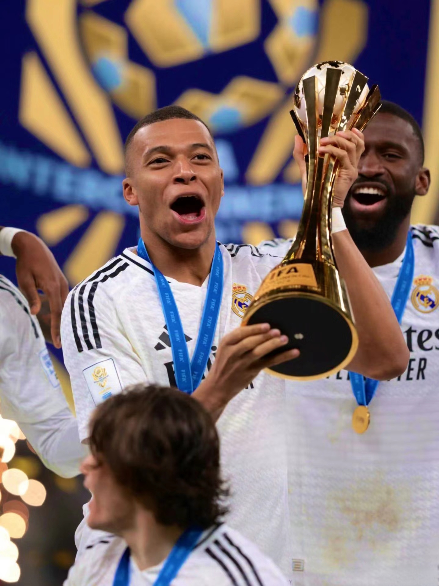 这种严格的 这种严格的