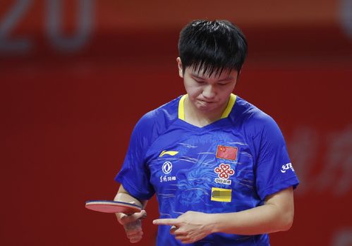 恰恰相反 恰恰相反