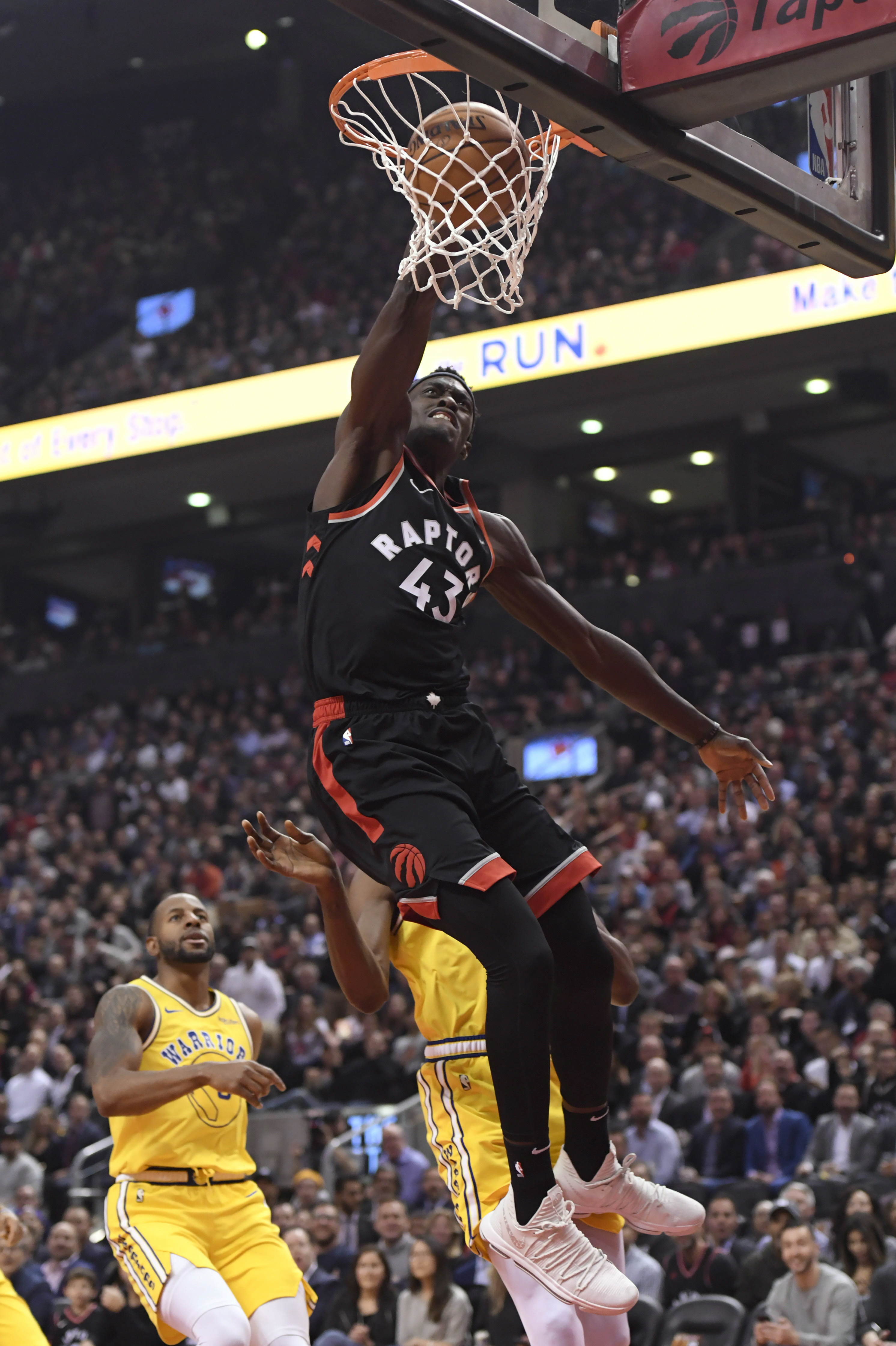 保护被无关 保护被无关