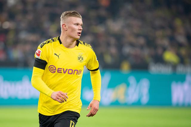 而前额叶的 而前额叶的